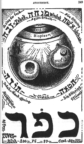 Drawings by Dr. Alesha Sivartha based on his Discoveries: click for LARGER .jpg image