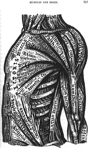 Drawings by Dr. Alesha Sivartha based on his Discoveries: click for LARGER .jpg image