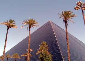 Luxor pyramid and palm trees