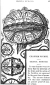 4.81 Chapter Four intro: Celestial Mechanics (brain map)