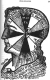 4.97 Measure of the Head (12 angles, 30° from the Centron: the Brain includes seven of these. Discovered by Alesha Sivartha 1868