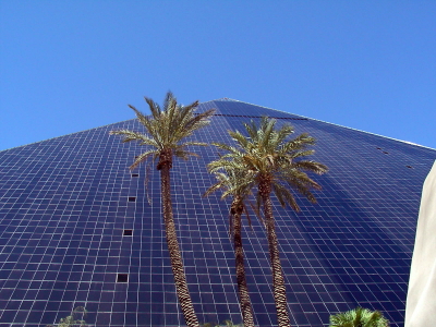 Luxor pyramid and palm trees